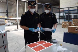 沈陽桃仙機(jī)場海關(guān)積極支持沈陽空港口岸“鮮速達(dá)”