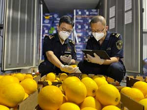 上半年洋山口岸進口非洲商品增六成