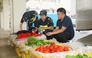 準(zhǔn)軍20年：“硬”核守護(hù)供澳生命線