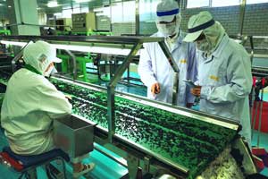 微舉措撬動特色農(nóng)產(chǎn)品出口大市場