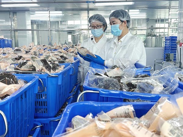東莞海關為為關區(qū)粽子出口保駕護航，助力廣式粽子香飄萬里