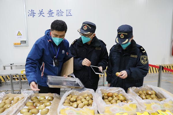 4355噸新西蘭奇異果自東莞港進(jìn)口