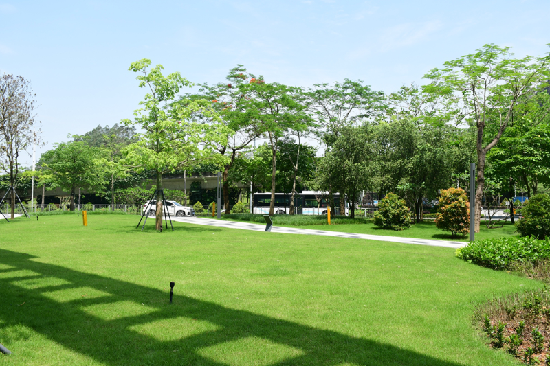 云波公園現(xiàn)場圖