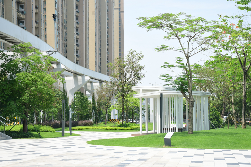 云波公園現(xiàn)場圖