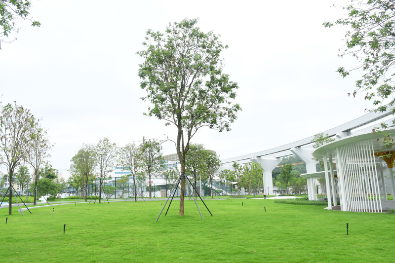坪山區(qū)一批口袋公園建成開園，讓“公園20分鐘效應”觸手可及 云動公園
