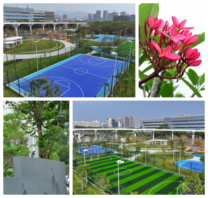 坪山區(qū)一批口袋公園建成開園，讓“公園20分鐘效應”觸手可及 云動公園
