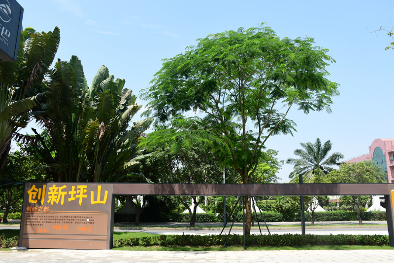 坪山區(qū)一批口袋公園建成開園，讓“公園20分鐘效應”觸手可及 云端公園