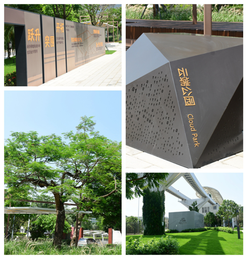 坪山區(qū)一批口袋公園建成開園，讓“公園20分鐘效應”觸手可及 云端公園