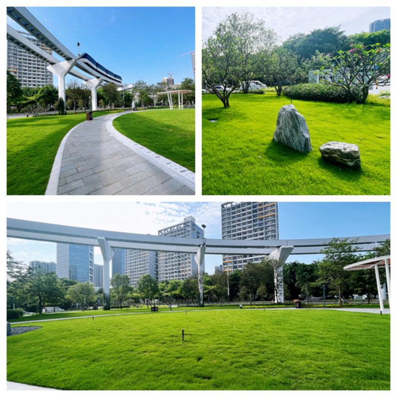 坪山區(qū)一批口袋公園建成開園，讓“公園20分鐘效應”觸手可及 云麓公園