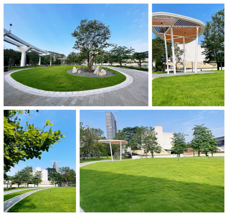 坪山區(qū)一批口袋公園建成開園，讓“公園20分鐘效應”觸手可及 云麓公園