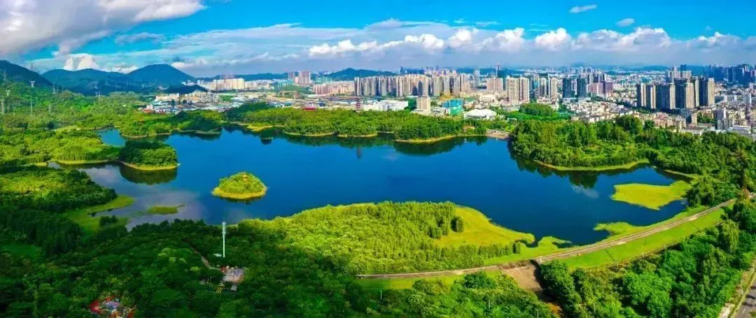 “一把手訪談”之坪山篇！坪山區(qū)委書記：在改革大潮中展現(xiàn)坪山新?lián)斝伦鳛? title=