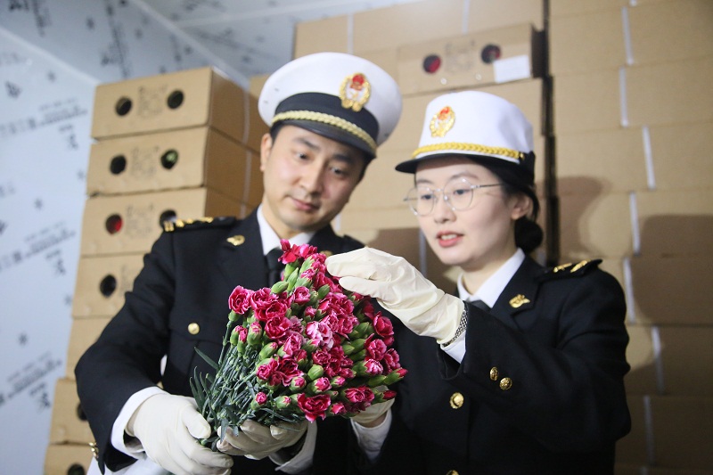 圖為：關(guān)員到花卉出口企業(yè)開展屬地查檢工作+許方馨攝.JPG
