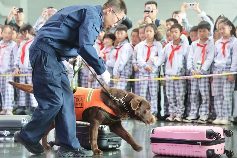 海關(guān)檢疫犬進(jìn)行現(xiàn)場(chǎng)演示+天津海關(guān)攝